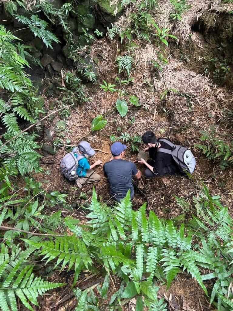 481207557_1173638884431234_7242265411306107075_n