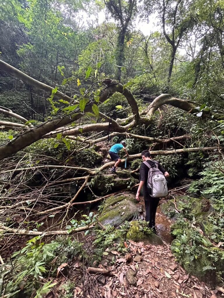 481797980_1173638877764568_3042441406877522561_n