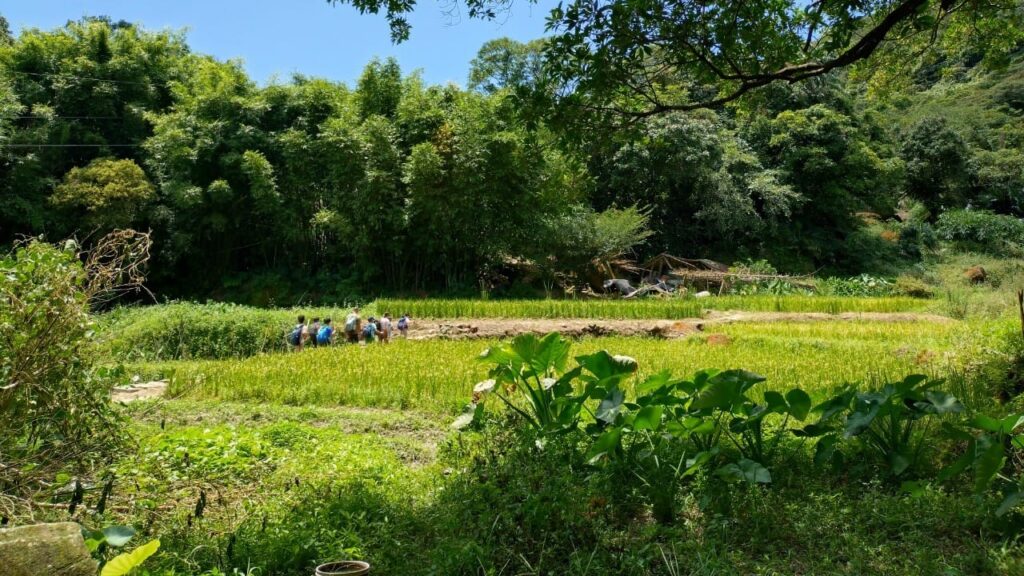 體驗不同風景-茶山秋令營回顧