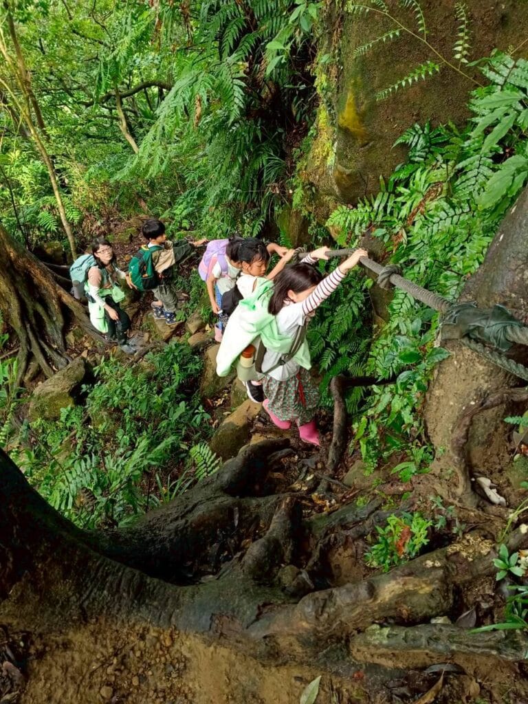 LINE_ALBUM_20251112_251212_1