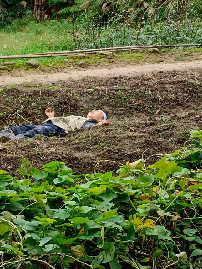 LINE_ALBUM_20251112_251212_3