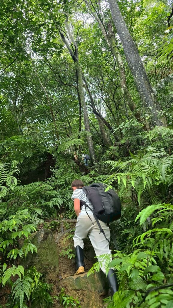 LINE_ALBUM_20251112_251212_4