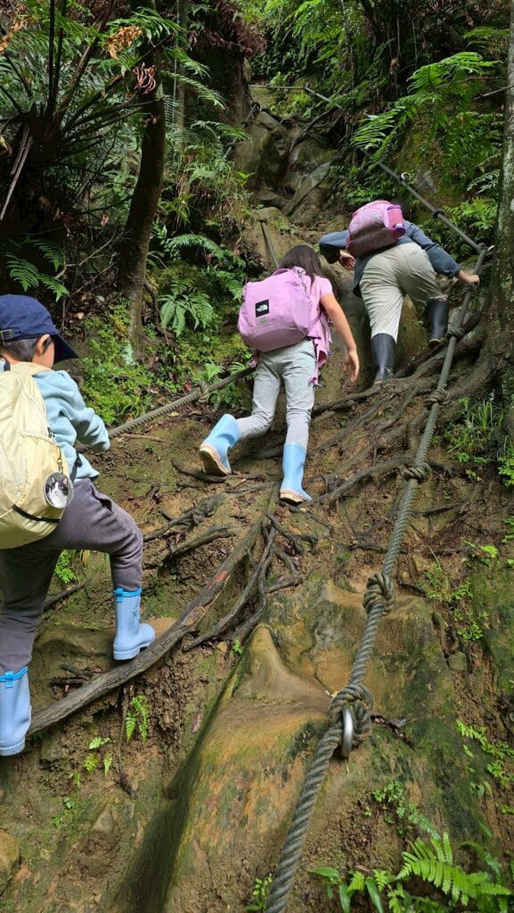 LINE_ALBUM_20251112_251212_6