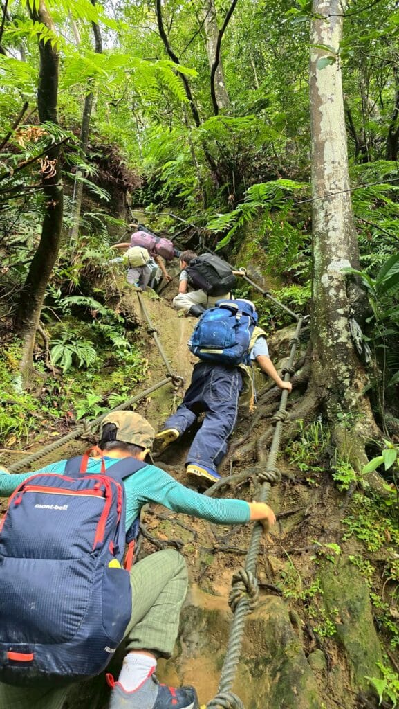 LINE_ALBUM_20251112_251212_7