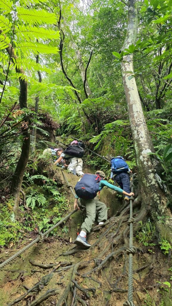 LINE_ALBUM_20251112_251212_8