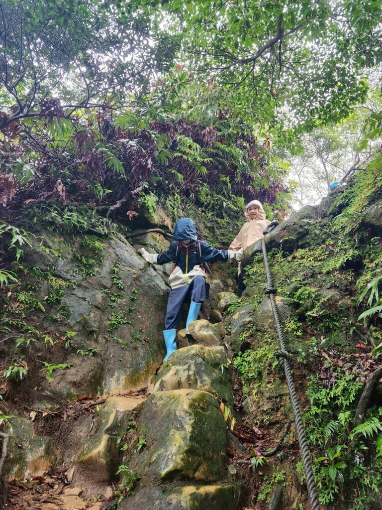 LINE_ALBUM_20251113_251212_10