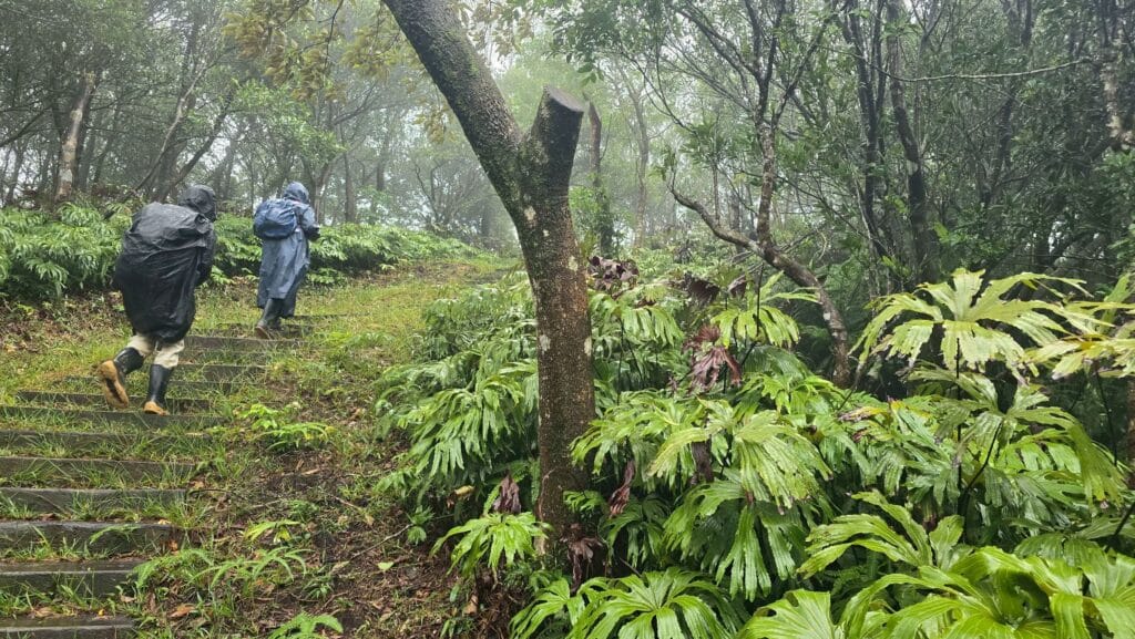 LINE_ALBUM_20251113_251212_12