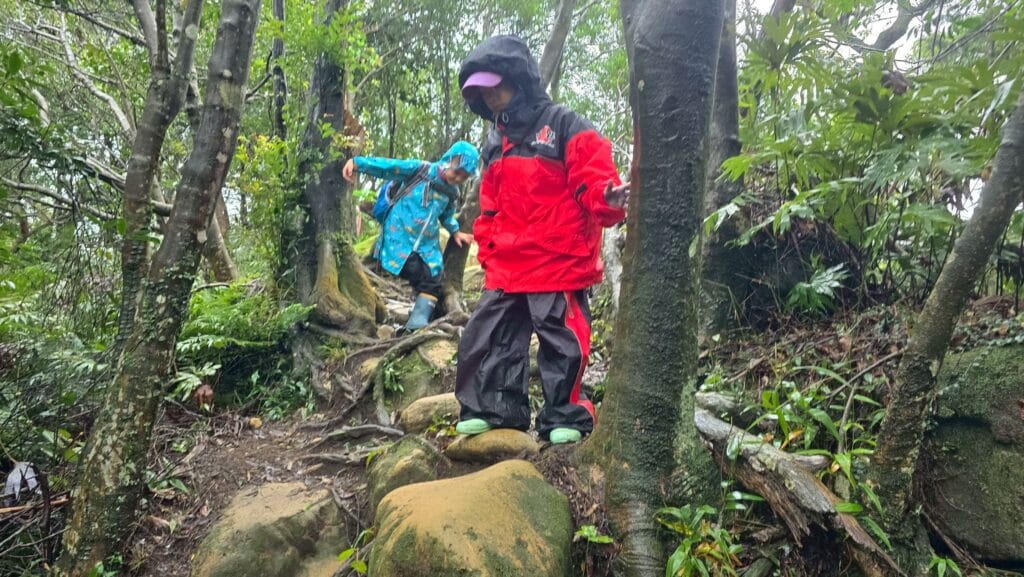 LINE_ALBUM_20251113_251212_15