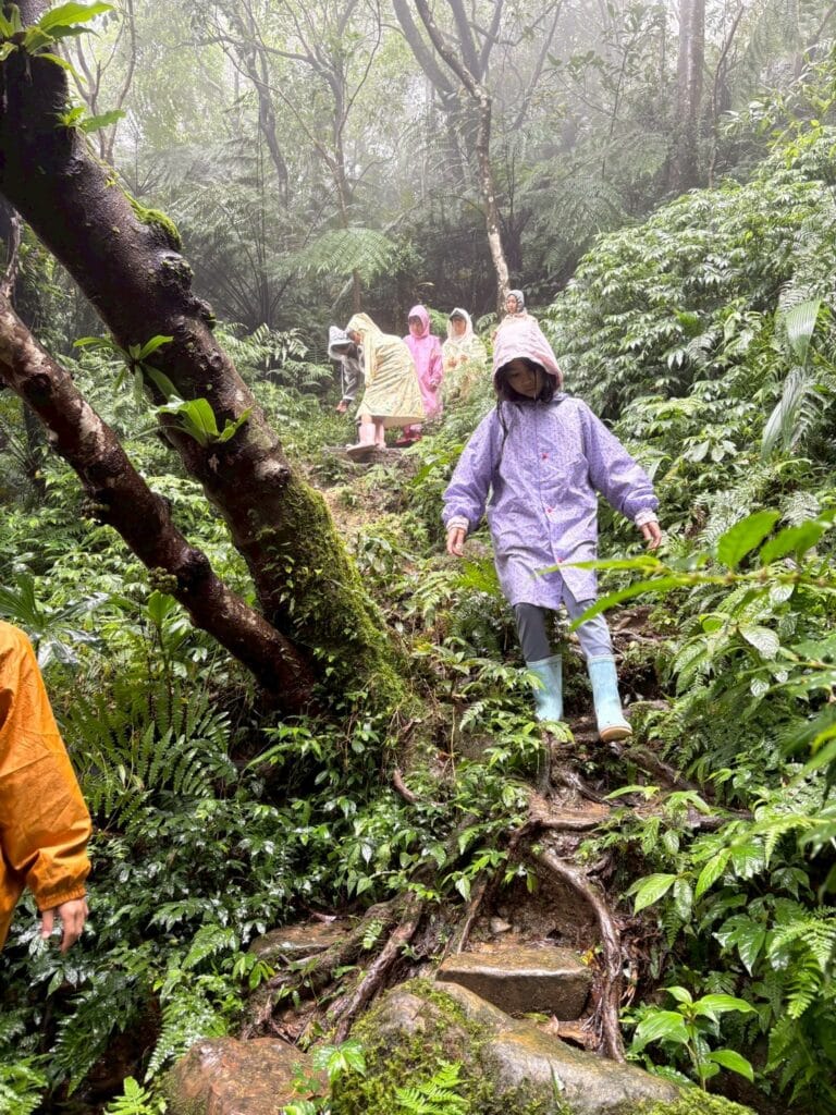 LINE_ALBUM_20251113_251212_4