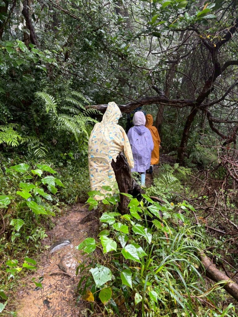 LINE_ALBUM_20251113_251212_5