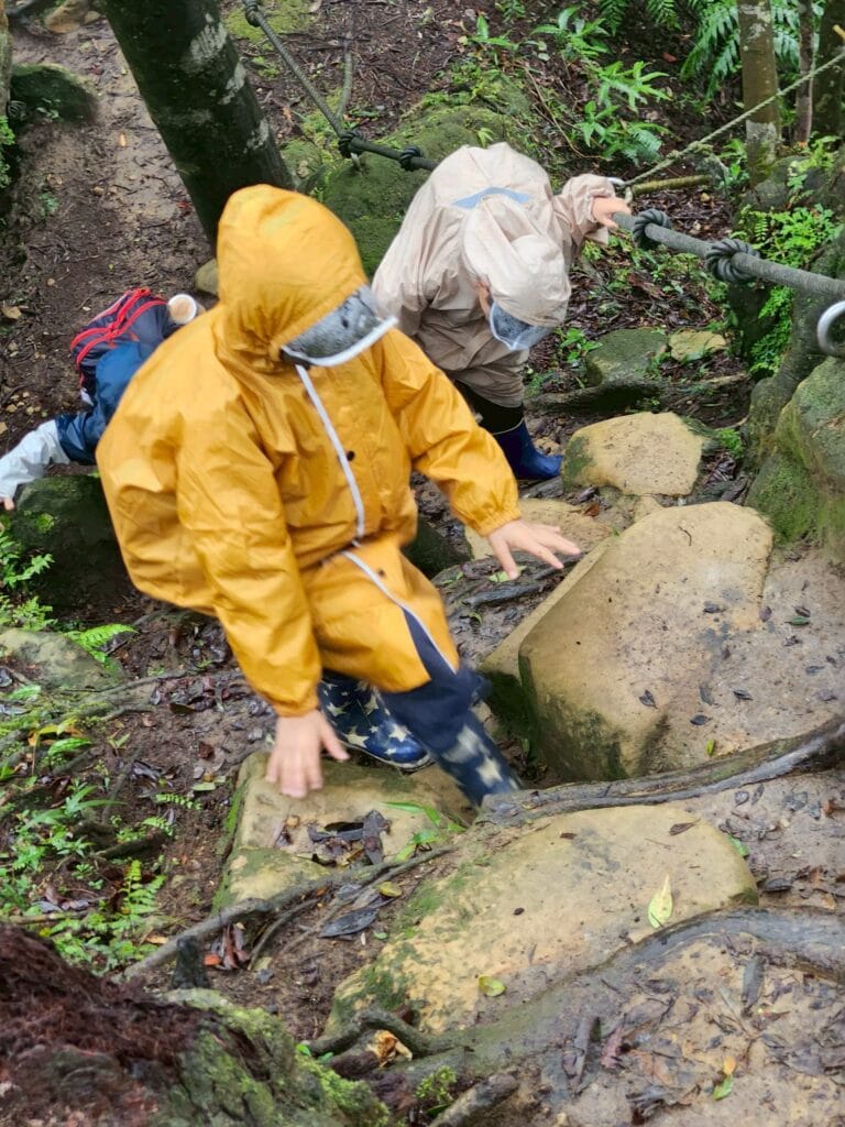 LINE_ALBUM_20251113_251212_7