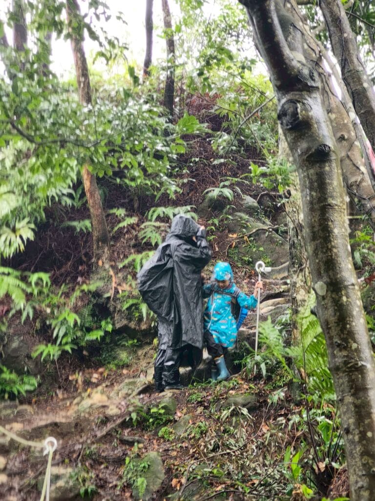 LINE_ALBUM_20251113_251212_8