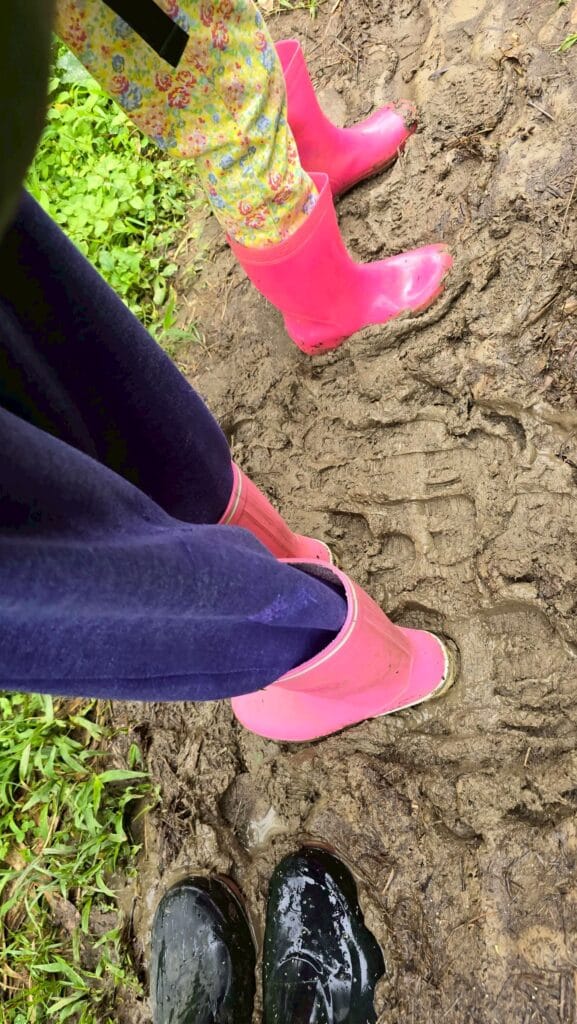 LINE_ALBUM_20251114_251212_9