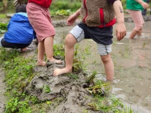 2026春 茶山‧草厝‧春耕  親子農事體驗