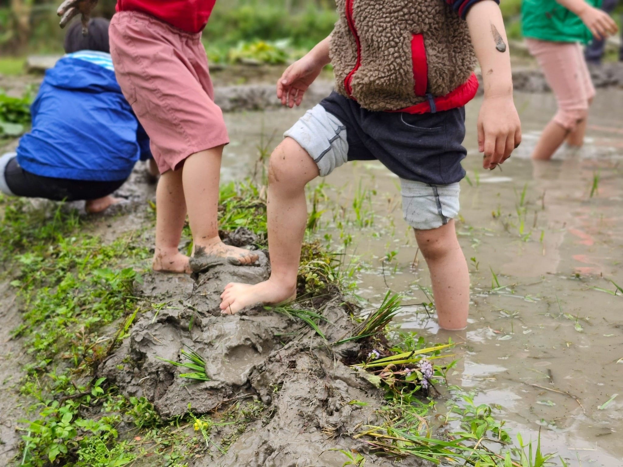 2026春 茶山‧草厝‧春耕 親子農事體驗