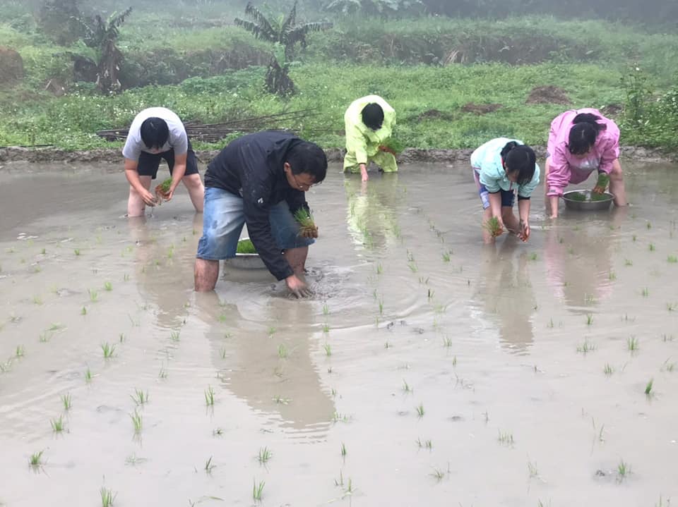 2026春 茶山‧草厝‧春耕 親子農事體驗:圖片 2