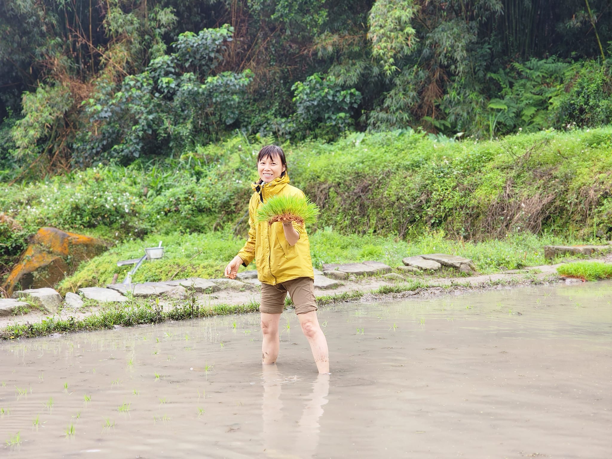 2026春 茶山‧草厝‧春耕 親子農事體驗:圖片 8