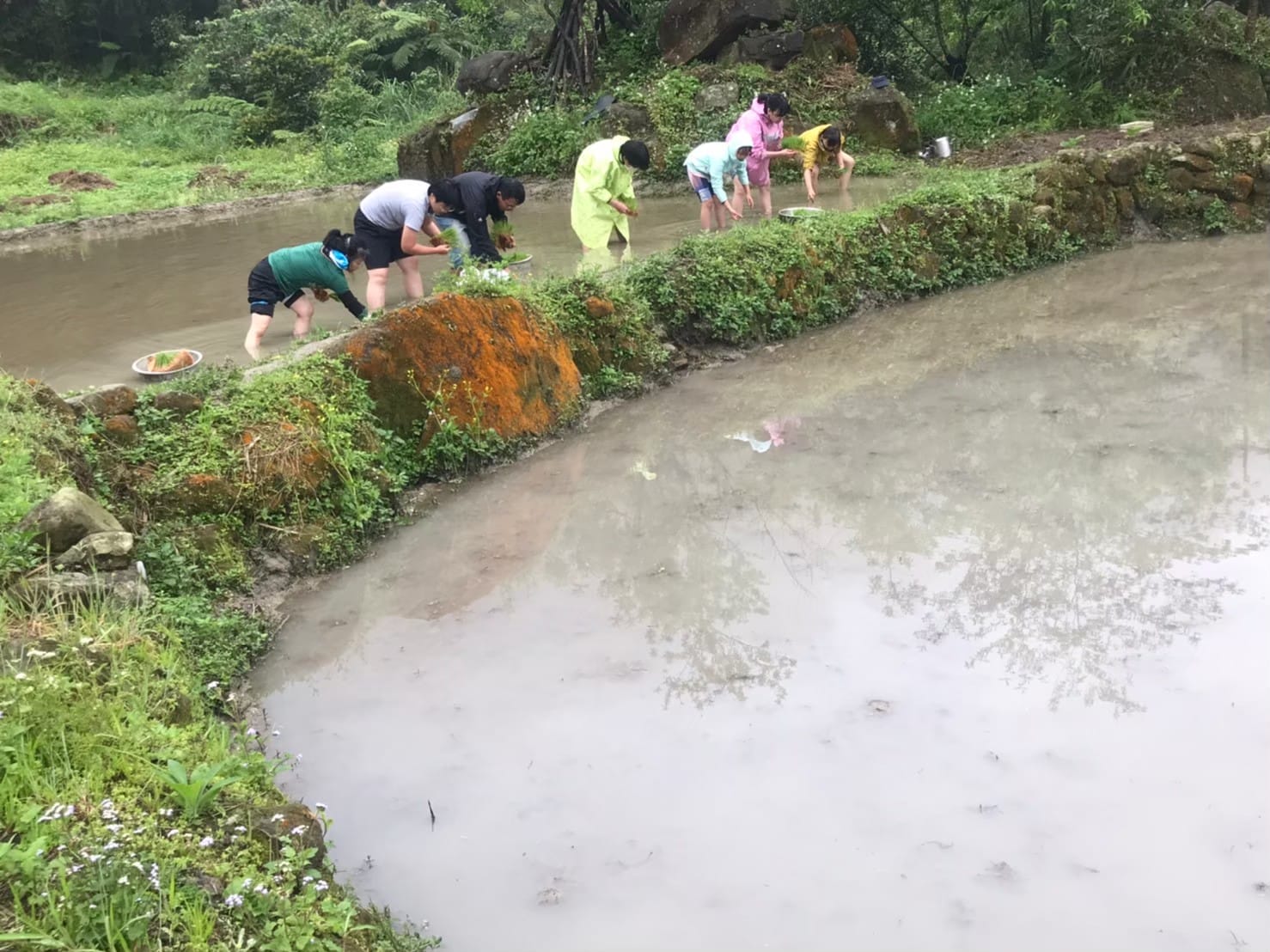 2026春 茶山‧草厝‧春耕 親子農事體驗:圖片 3