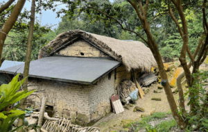報名-草厝‧茶山‧古道 週六親子共學(2026春季班)